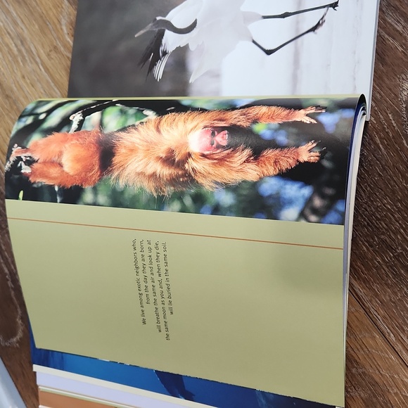 Priceless Vanishing Beauty of a Fragile Planet Book - Picture 9 of 16